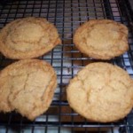 gingersnaps_kaitlinfleming