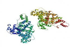 Form of the Protein Albumin.