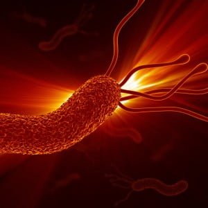 Helicobacter Pylori.