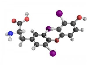 Chemical structure of a triiodothyronine (T3) molecule, thyroid hormone that affects growth and development, metabolism, body temperature, and heart rate.