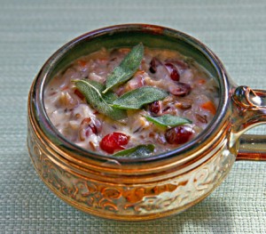 thanksgiving leftover cranberry soup
