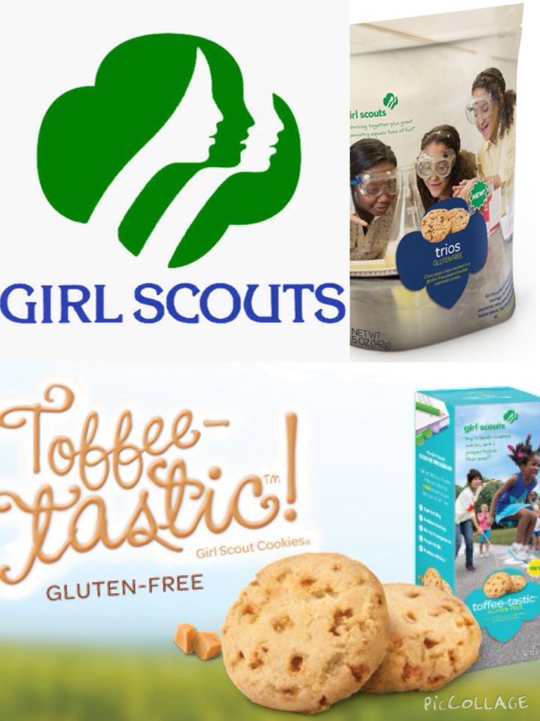 gluten free girl scout cookies