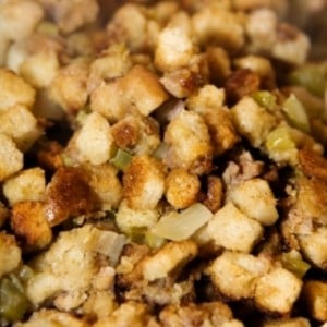 stuffing-300x3001